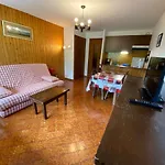 Studio 4 Couchages, Proche Telecabine, Parking, Animaux Acceptes - Fr-1-241-75