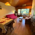 Appartement 2 Pieces, 5 Pers, Le Grand-Bornand, Lumineux, Proche Centre, Navette, Casier A Ski - Fr-1-241-54
