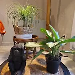 Jungle Street