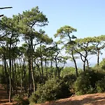 Villa Familiale A 300M De La Plage De L'Ocean