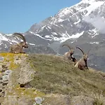 Charmant Studio Aux Pieds Des Pistes Vue Sur La Montagne