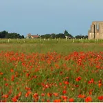 Le Clos Des Flots - La Plage