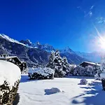 Chamonix Appartement Vue Mont Blanc Avec Jardin