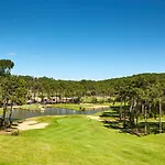 Un Nid Dans La Pinede