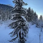Les 3 Sophies - Magnifique Chalet Pour 1 A 8 Personnes Proche Des Remontees Mecaniques Des Prodains