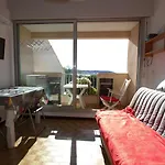 Appartement T1 Mezzanine Avec Balcon, Clim, Wifi Et Garage - Fr-1-553-195