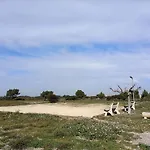 T3 Cabine Avec Piscine Collective A 900 M De La Plage 5Lhsp138