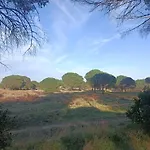 Grand Mobil Home 3Chbr 2Sdb Camping La Carabasse