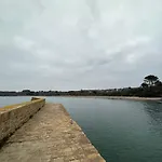 Tycosy