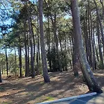 Charmante Maison Dans La Pinede 4 Pers.