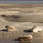 La Plage