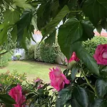 Maison 5 Pieces Avec Jardin Clos, Terrasse, A Proximite De La Plage Et Du Centre, 8 Couchages - Fr-1-224B-157