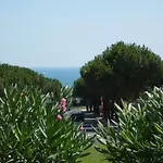Bambou Nature