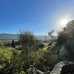 Olivya