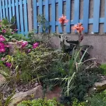 Grande Maison Avec Jardin Vu Sur La Rance