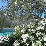 Villa Del Re 3 Face A La Piscine