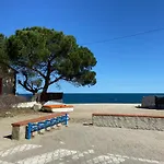 Perseides