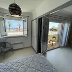 Studio 4 Pers. En Bord De Mer Avec Balcon, Parking Et Animaux Admis A Saint-Cyprien. - Fr-1-106-94