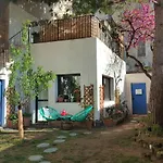 Little House With A Large Roof Garden In The City Center