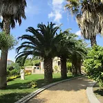 Les Palmiers