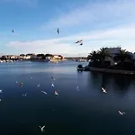 Ancre Et Mouettes