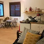 Little House With A Large Roof Garden In The City Center