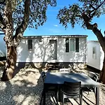 Camping Des Mimosas