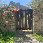 Ty Fine Rose