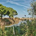 Lou Kif Hostel - Votre Auberge En Camargue