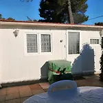 Sous Le Soleil De Provence
