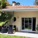 La Palibe