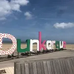 Soleilcito