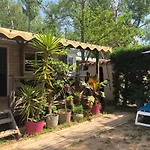 Mobil Home Climatise Camping 4* Le Grau Du Roi Les Jardins De Tivoli