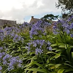 La Maison Aux Hortensias, 1Km De La Plage, Proche Du Sillon De Talbert