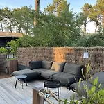 La Vigne