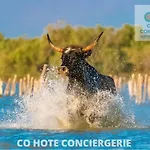 Promo*L'Alize-Studio Famille-Piscine-Parking Prive-Cohote Conciergerie