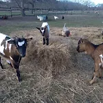 Eco Nature, Gite A La Ferme