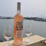 Appartement Avec Balcon, Vue Mer, Piscine, Parking