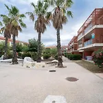 Soleil Sur La Massane - Appartement Avec Terrasse