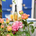 Holiday Home Jardin Secret By Interhome