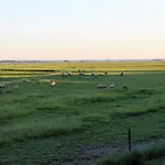 Baie Du Mont Saint Michel / Gite De La Vaquerie 23
