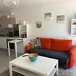 La Garrigue, Au Milieu Des Pins Maritimes...