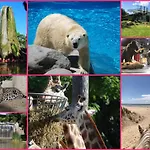 Camping Siblu Les Charmettes La Palmyre