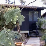 Maison Bois Au Bord Du Lac