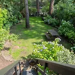 Maison Bois Au Bord Du Lac