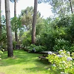 Maison Bois Au Bord Du Lac