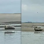 En Plein Coeur Du Crotoy, Un Pied A Terre En Baie