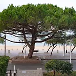 Appartement Arcachon En 1Ere Ligne Face A La Mer