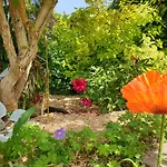 Les Coquelicots Classe 3 Etoiles