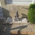 Zenatitude